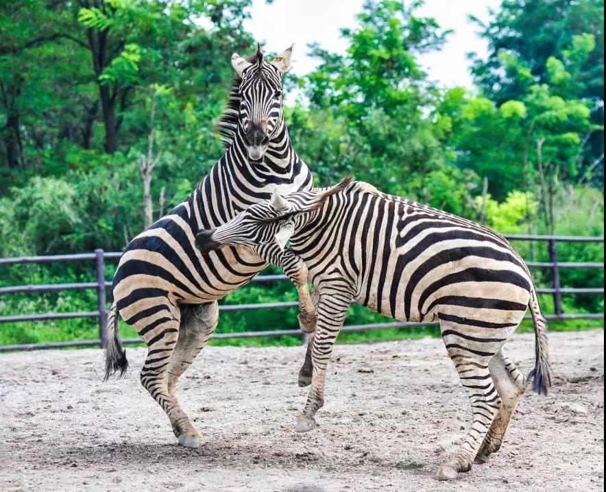 微信圖片_20190221103816.jpg 微信圖片_20190221103816.jpg