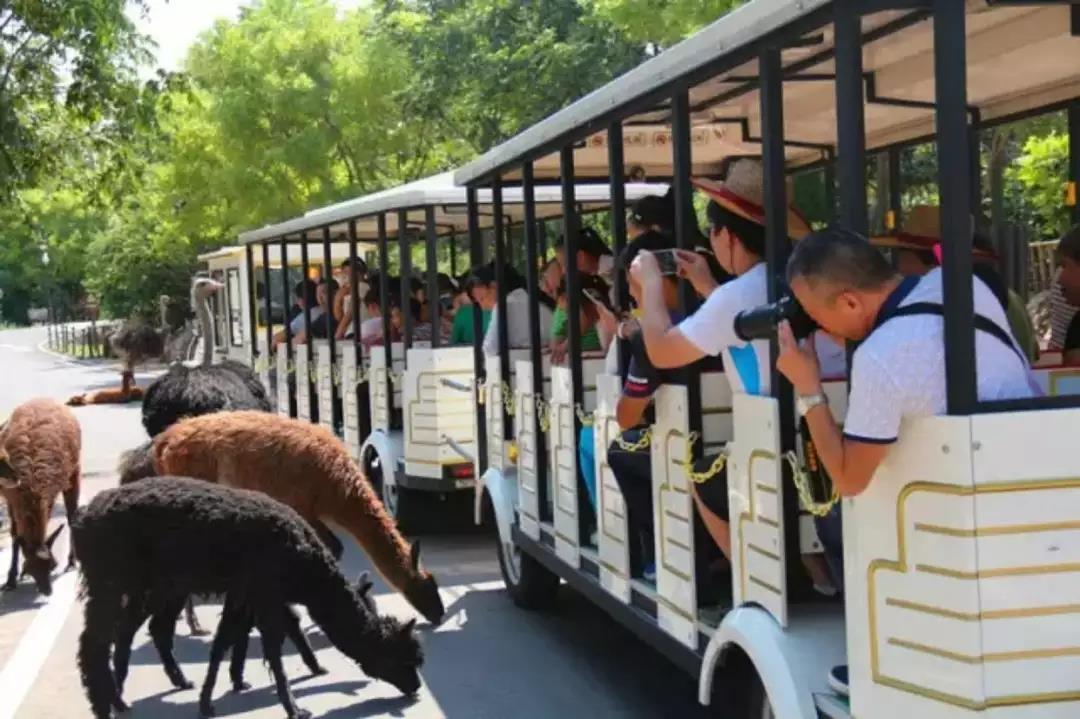 微信圖片_20190221104153.jpg 微信圖片_20190221104153.jpg