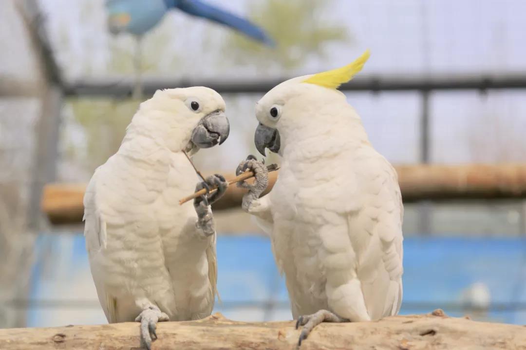 微信圖片_20190221104419.jpg 微信圖片_20190221104419.jpg