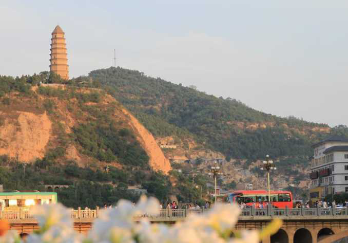 圖片2.png 圖片2.png